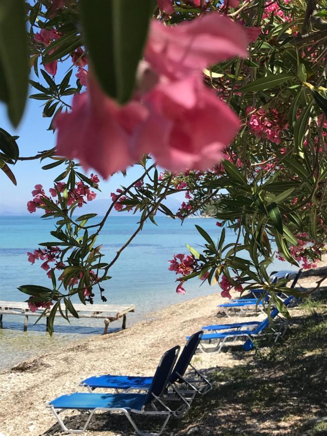 Akrogiali Πανσιόν